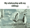 siblings GIF