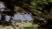 unreal GIF by EchoBoom Sports