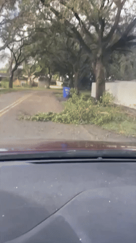 Debris Lines Streets After Heavy Rain Lashes South Florida