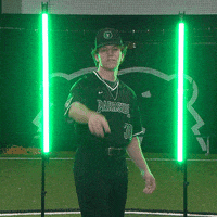Parkside Baseball GIF by Parkside Athletics