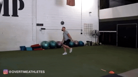 giphygifmaker GIF