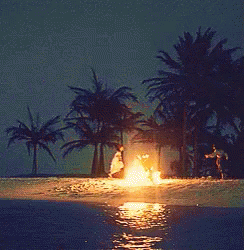 island bonfire GIF