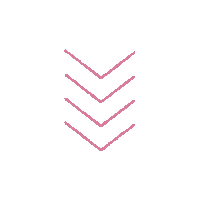 Arrows Campus Sticker by CampusPolska