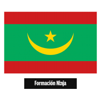 Flag Pixel Art Sticker by Formación Ninja