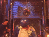 Abc Dancing GIF by Sesame Street