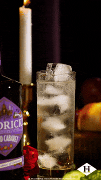 Magic Serve GIF by HENDRICK'S GIN