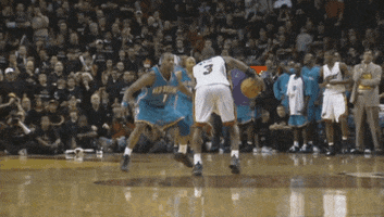 dwayne wade GIF