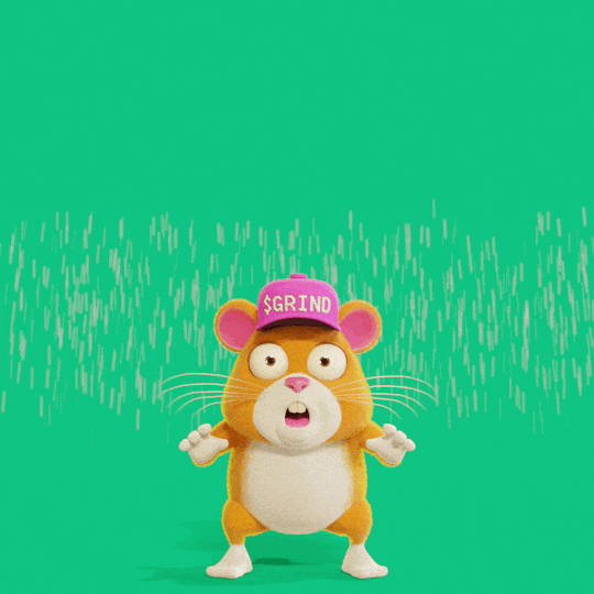 Football Touch Down GIF by Grind