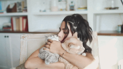 Cat Kiss GIF by Megan Batoon