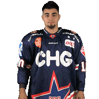 Ice Hockey Sticker by Ravensburg Towerstars