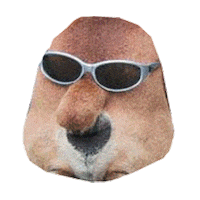 dog Sticker by namslam