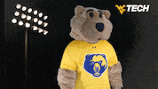 Celebrate West Virginia GIF by WVU Tech Golden Bears