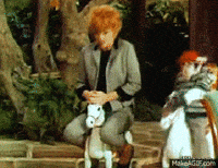 Horse Racing GIF