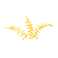 Tetaiao Sticker by Department of Conservation