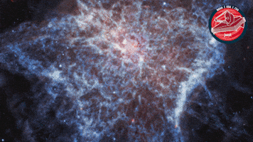 James Webb Nasa GIF by ESA Webb Space Telescope