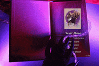 KyleeConriquez halloween dogs magic spooky GIF