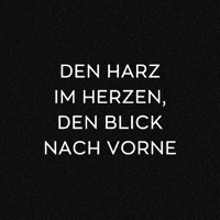 Thd GIF by Schierker Feuerstein
