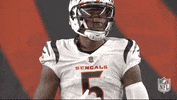 National Football League GIF by NFL