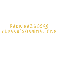Padrinazgoselparaisoanimalorg Sticker by Elparaiso