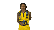 Ewe Baskets Basketball Sticker by EWE Baskets Oldenburg