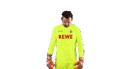 thomas kessler soccer Sticker by 1. FC Köln