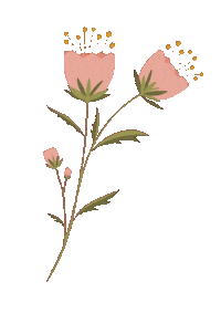 laurajoydesign flower flowerpower flowerillustration laurajoydesign Sticker