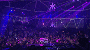 on my way tiÃÂ«sto GIF by Tiësto