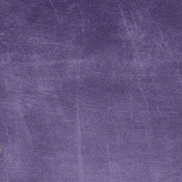 Wesleyan GIF by KWC Panthers