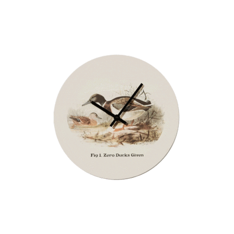 Duck Decor Sticker by Payflex