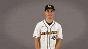Baseball Calstatela GIF by Cal State LA Golden Eagles