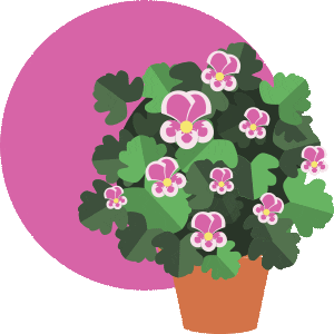 Beauty Flowers Sticker by PRO-MIX Gardening
