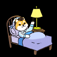 DogelonMars dog meme crypto night GIF