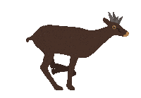 Antelope Running Sticker