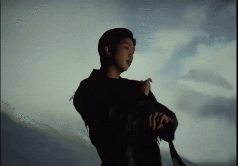 Rm Kim Namjoon GIF