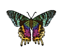 Art Illustration Sticker by Kia Creates