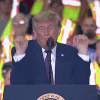 Scared Trump GIF by Respective
