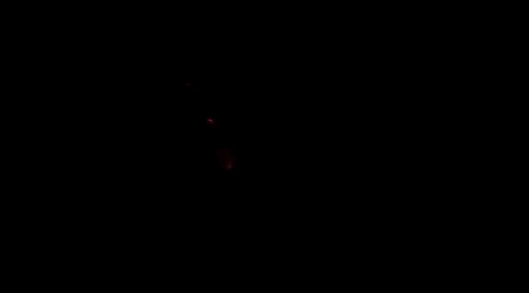 skylergross giphyupload GIF