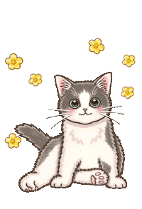 Confused Cat Sticker