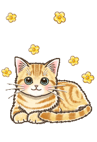 Cat Sticker