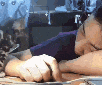 giphy.gif
