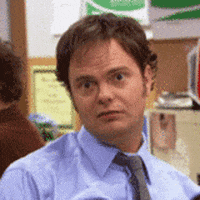 The Office gif. Rainn Wilson as Dwight waggles his head and raises his eyebrows at us sarcastically.