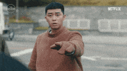 Park Seo-Joon Netflix GIF by The Swoon