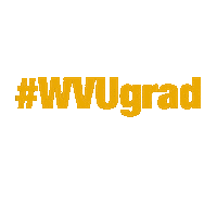 college graduation Sticker by WestVirginiaU