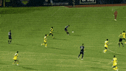 GIF by El Paso Locomotive FC