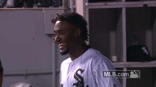 chicago white sox smile GIF by MLB