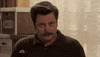 ron swanson smiling GIF