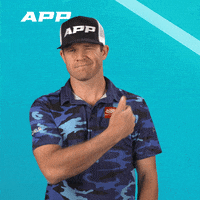 No Big Deal Pickleball GIF by APP