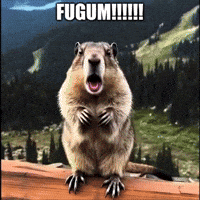 Who Cares Let It Go GIF by Fugum
