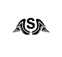 skateboarding snowboarding Sticker by Stinky Socks