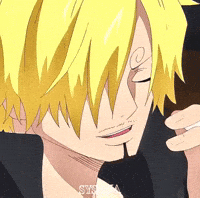 One Piece GIF